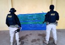 Carro roubado é flagrado com 240kg de maconha na BR-282
