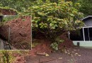 Queda de barranco danifica residência e força evacuação