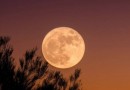 "Lua cheia do veado" poderá ser vista nesta quinta (10) em todo o Brasil; saiba como