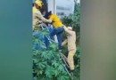 Homem que mora embaixo de ponte sofre queda e é socorrido pelo Corpo de Bombeiros