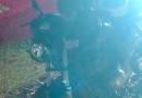 Motociclista fica ferido após colisão com cachorro na BR-280