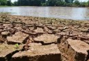 Mundo deve ultrapassar limite de aquecimento nos próximos meses, alertam cientistas