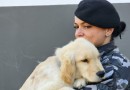 Polícia Militar inicia terapia com cães para crianças com Transtorno do Espectro Autista