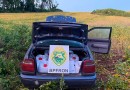 BPFRON apreende veículo carregado com agrotóxicos