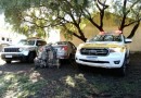 Casal que transportava 150kg de maconha é preso
