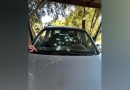 Idoso de 83 anos é preso por tentativa de triplo homicídio em emboscada