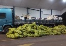 PM apreende caminhão com carga de produtos argentinos