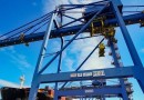 Santa Catarina é líder nacional em exportação de madeira e móveis