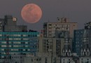 Calendário astronômico 2024: ano terá eclipses, chuvas de meteoros e superluas