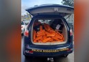Motorista fura bloqueios, bate em veículos e acaba preso com carro cheio de drogas em SC