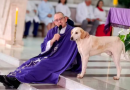 “Cãoroinha?”: cachorro vira presença nas missas e encanta fiéis no Paraná