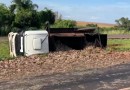 Caminhão com carga de peixes que vinha para Francisco Beltrão tomba na BR-163