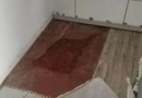 Casal que matou e enterrou filha recém-nascida na cozinha é condenado a 58 anos de prisão