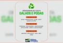 Prefeitura divulga cronograma para recolhimento de galhos e podas