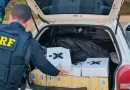 Homem tenta fugir mas é preso com vinhos argentinos importados irregularmente