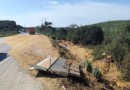Caminhão carregado com soja tomba na rodovia PR-280