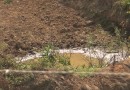 80 cidades decretam situação de emergência em SC