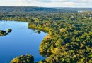Noruega doa R$ 245 milhões para Fundo da Amazônia