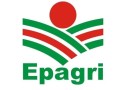 Analista da Epagri aponta baixo impacto na venda de carne com tarifa de Trump