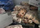 Operação fecha frigorífico e lacra depósito após suspeita de fraude alimentar no Oeste de SC