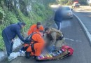 Motorista pula de caminhão em movimento na SC-480 e fica gravemente ferido