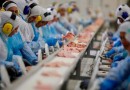 Brasil passa a exportar carne suína para o Peru