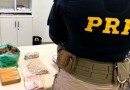 Mulher é presa na BR-282 com ecstasy, cocaína, skunk e crack