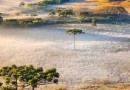 Pouca chuva e temperaturas acima da média: saiba o que esperar do inverno em SC
