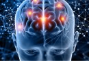 Alzheimer e outras doenças: estudo aponta 14 hábitos que podem aumentar chances de demência