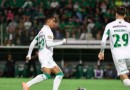 Chapecoense perde para o América-MG e vê disputa pelo acesso ficar mais acirrada