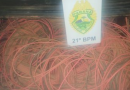 Grupo de Cascavel furta 200 quilos de fios elétricos de cobre de usina em Santo Antonio do Sudoeste