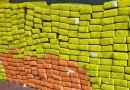 Força Integrada apreende quase meia tonelada de maconha em comunidade