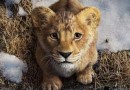 Disney libera o primeiro trailer de Mufasa: O Rei Leão; assista