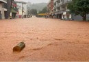 Fortes chuvas deixam ao menos 49 cidades em alerta em Santa Catarina