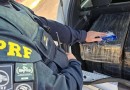 PRF apreende 384 kg de maconha na BR-369