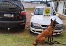 BPFRON prende jovem e apreende cocaína durante operação
