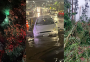 Chuva intensa e vento forte derrubam árvores e cratera se abre no Oeste de SC
