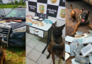 Polícia Civil se despede de Colt, cão policial que marcou história