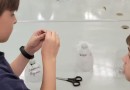 Alunos criam armadilha para mosquito da dengue com garrafas pet
