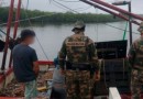 Pescadores são flagrados com 400 quilos de camarão de pesca ilegal em Barra do Sul