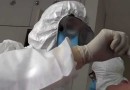 OMS pede colaboração para investigar origens do novo coronavírus