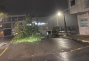 Temporal com granizo e ventania causa destruição durante a madrugada
