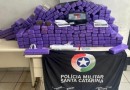 Mais de 170 kg de maconha e entorpecentes são apreendidos em Santa Catarina