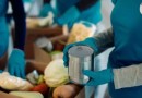 Brasil envia 125 toneladas de alimentos para Cuba; entenda ação