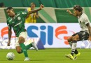Palmeiras vence o Botafogo no Allianz e amplia invencibilidade como mandante