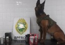 Apreensão de cigarros eletrônicos e produtos à base de maconha são presos pela BPFron em ônibus na BR-277