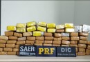 Ação Conjunta da PRF e Polícia Civil resulta em Prisão e Apreensão de Drogas