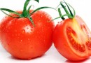 Futuro do tratamento contra o câncer pode estar no tomate e na batata