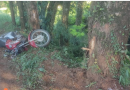 Motociclista colide com árvore e fica gravemente ferido