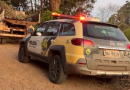 Homem morre atingido por árvore no interior de Pinhal de São Bento